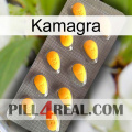 Kamagra cialis1